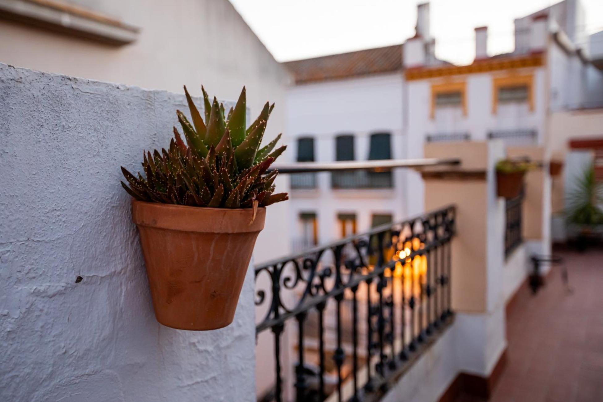 Dona Concha * Seville